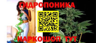 амф Пушкино