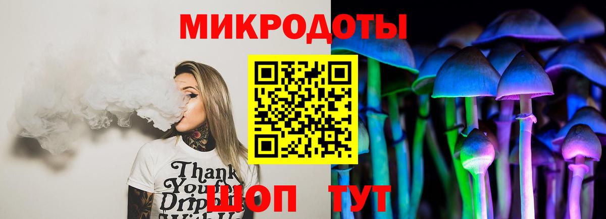 Троицк  Галлюциногенные грибы Psilocybine cubensis  Вход с VPN 