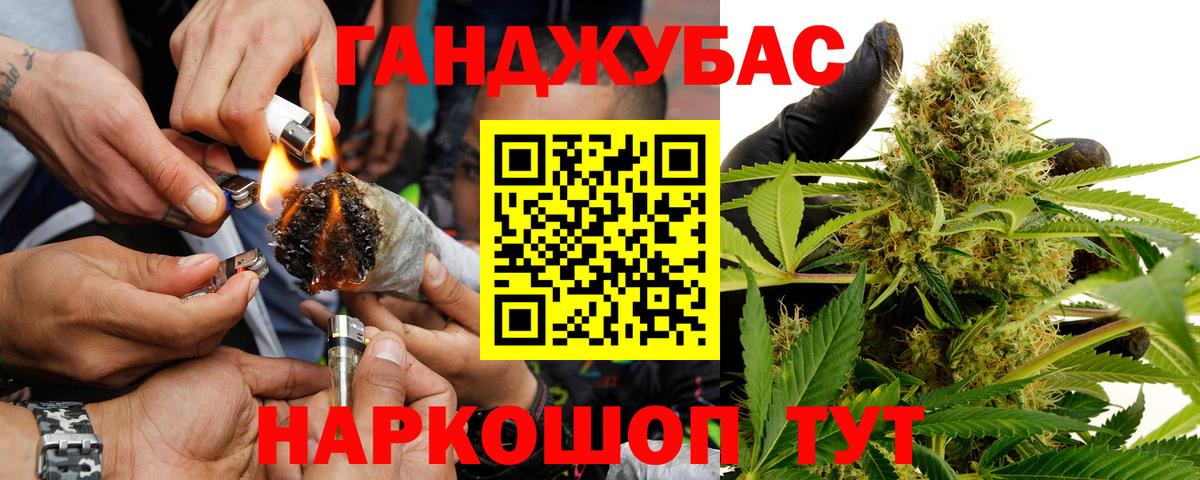 Каннабис сатива Троицк